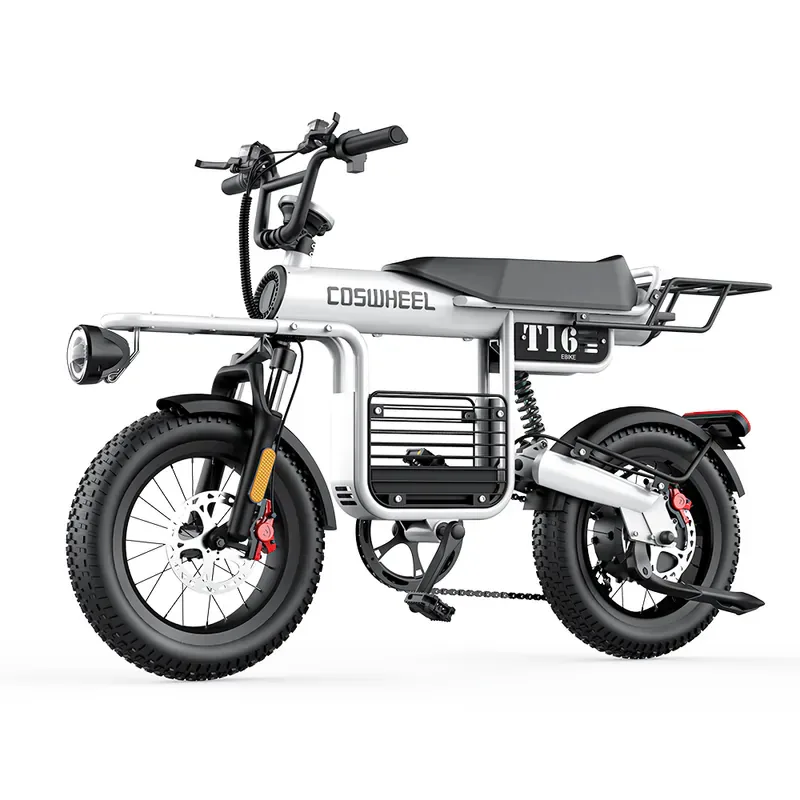 COSWHEEL T16